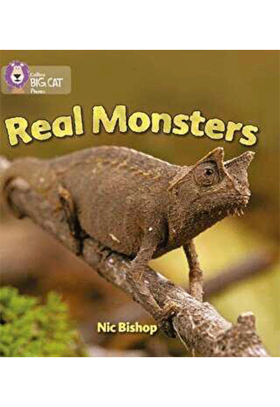Real Monsters (BC-3 Yellow) phonic - Komisyon kitap kapağı