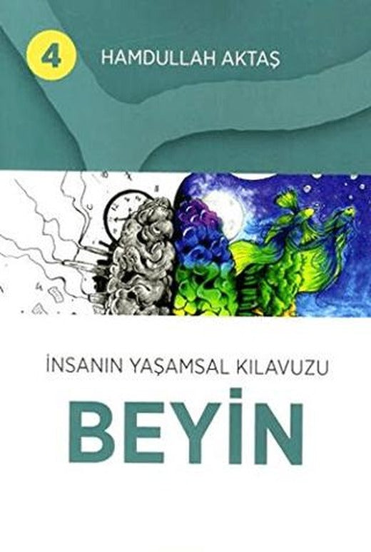 İnsanın Yaşamsal Kılavuzu Beyin 4