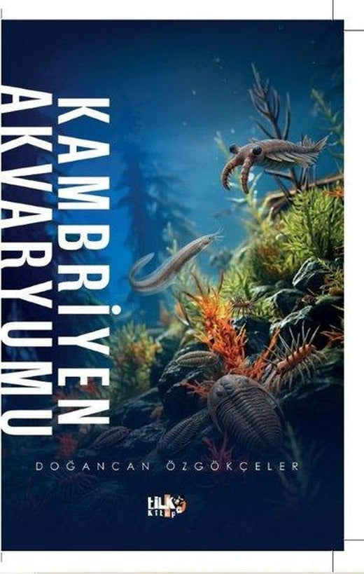 Kambriyen Akvaryumu | Tilki Kitap (İnce Kapak)