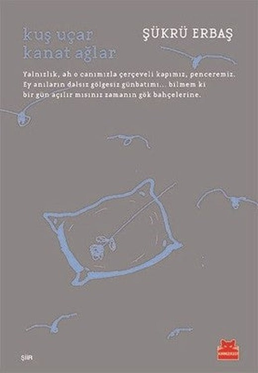 Kuş Uçar Kanat Ağlar | Kırmızı Kedi