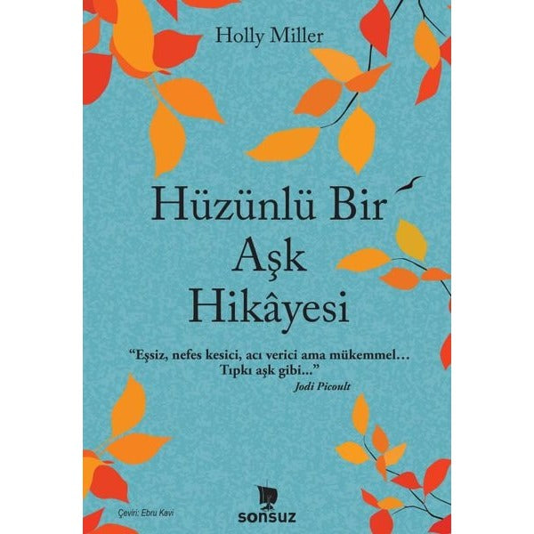 Hüzünlü Bir Aşk Hikayesi | Sonsuz Kitap