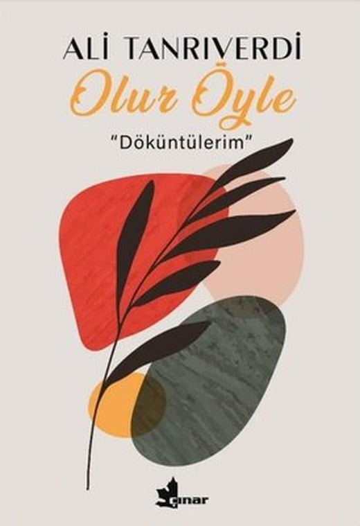 Olur Öyle - Döküntülerim | Çınar Yayınları (İnce Kapak)