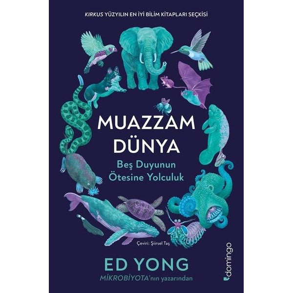 Muazzam Dünya: Beş Duyunun Ötesine Yolculuk | Domingo Yayınevi