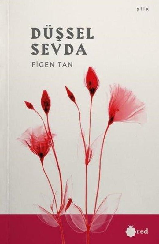 Düşsel Sevda
