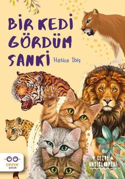Bir Kedi Gördüm Sanki | Cezve Çocuk (İnce Kapak)