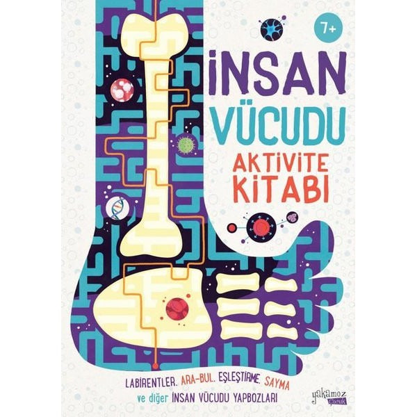 İnsan Vücudu Aktivite Kitabı 7 + | Yakamoz Yayınları (İnce Kapak)