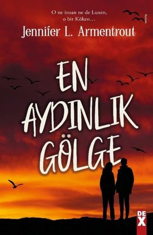 En Aydınlık Gölge | DEX (İnce Kapak)