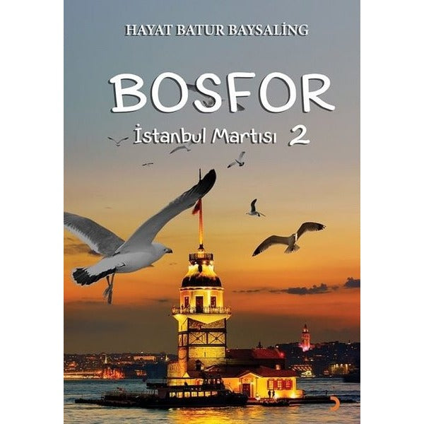 Bosfor - İstanbul Martısı 2 | Cinius