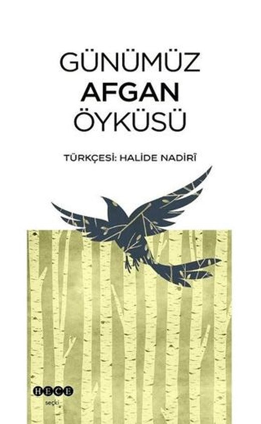 Günümüz Afgan Öyküsü | Hece Yayınları (Ciltsiz)