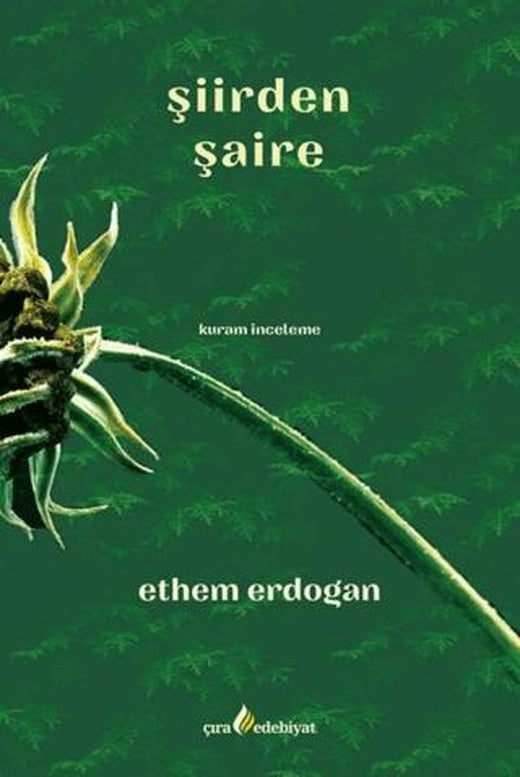 Şiirden Şaire | Çıra Yayınları (Ciltsiz)