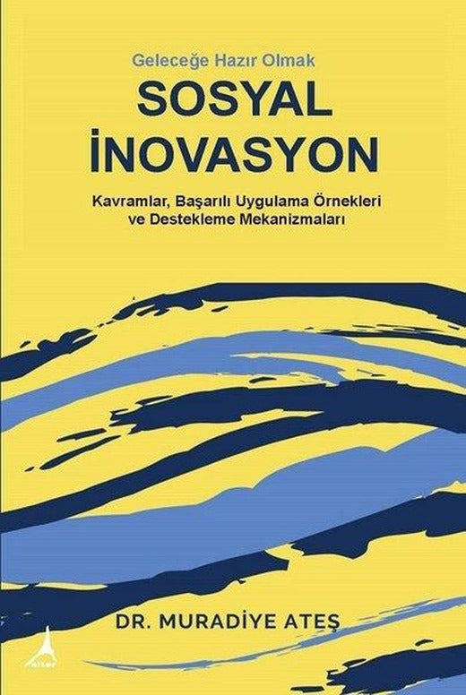Sosyal İnovasyon | Alter Yayınları (İnce Kapak)