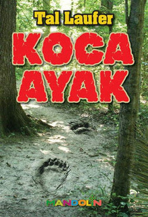 Koca Ayak | Mandolin