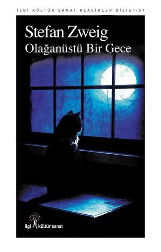 Olağanüstü Bir Gece | İlgi Kültür Sanat Yayınları (İnce Kapak)