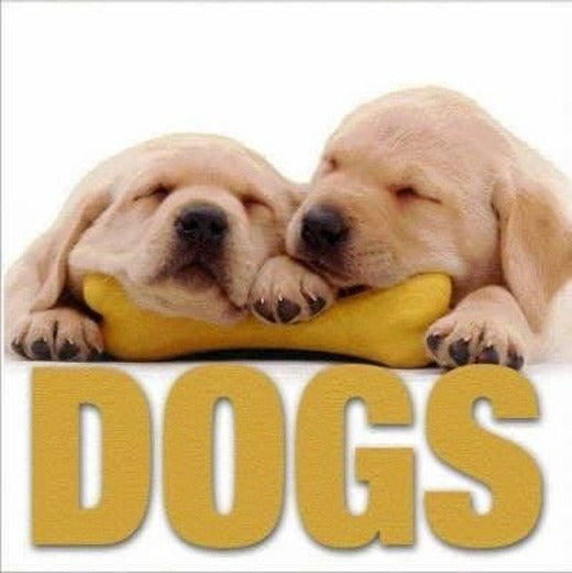 Dogs (Minicube Book) | White Star