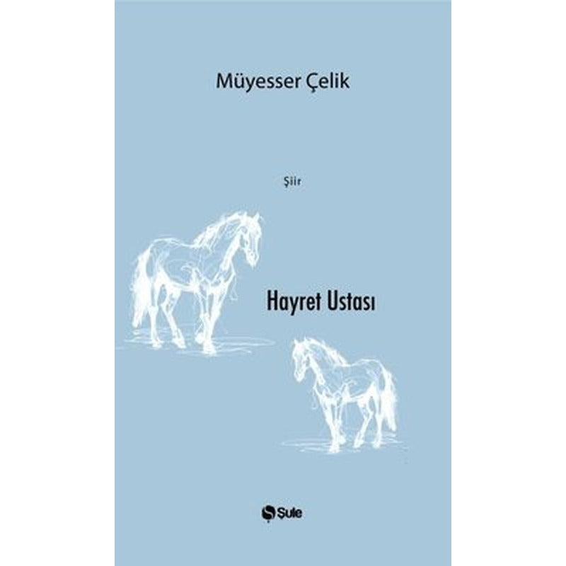 Hayret Ustası | Şule Yayınları (İnce Kapak)