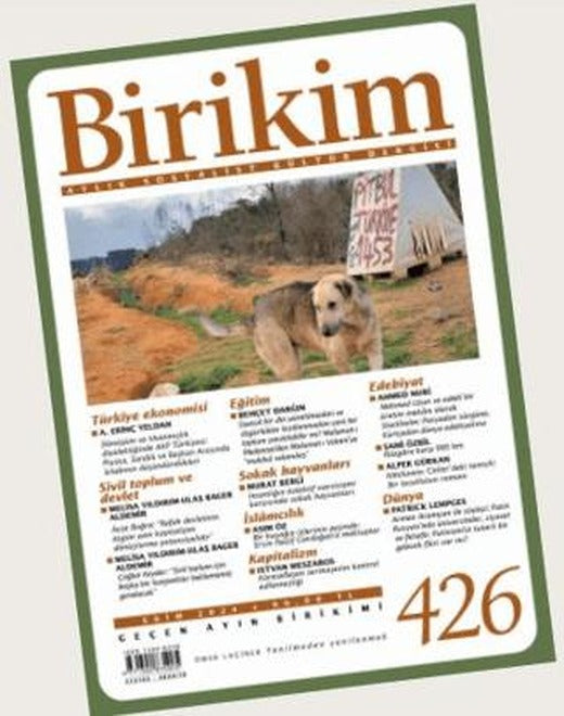 Birikim Aylık Sosyalist Kültür Dergisi Sayı: 426 Ekim 2024 | Birikim Yayınları (Ciltsiz)