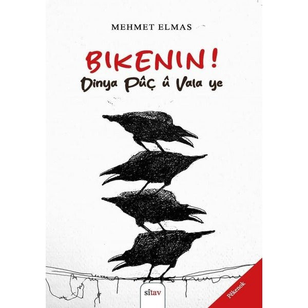 Bikenin! Dinya Puç u Vala ye | Sitav yayınevi (İnce Kapak)