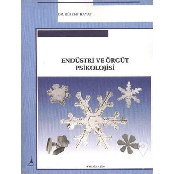 Endüstri Örgüt Psikolojisi | Alter Yayınları (İnce Kapak)