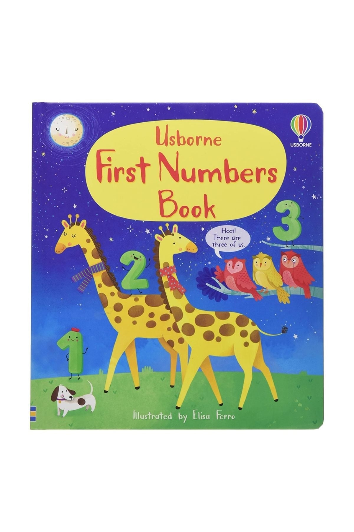First Numbers Book | Usborne (Ciltli)