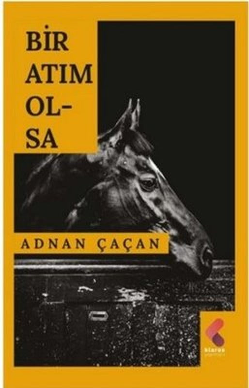 Bir Atım Olsa | Klaros Yayınları