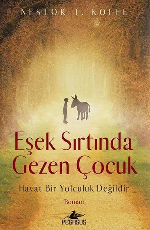 Eşek Sırtında Gezen Çocuk | Pegasus (İnce Kapak)