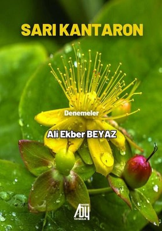 Sarı Kantaron - Denemeler | Baygenç Yayıncılık