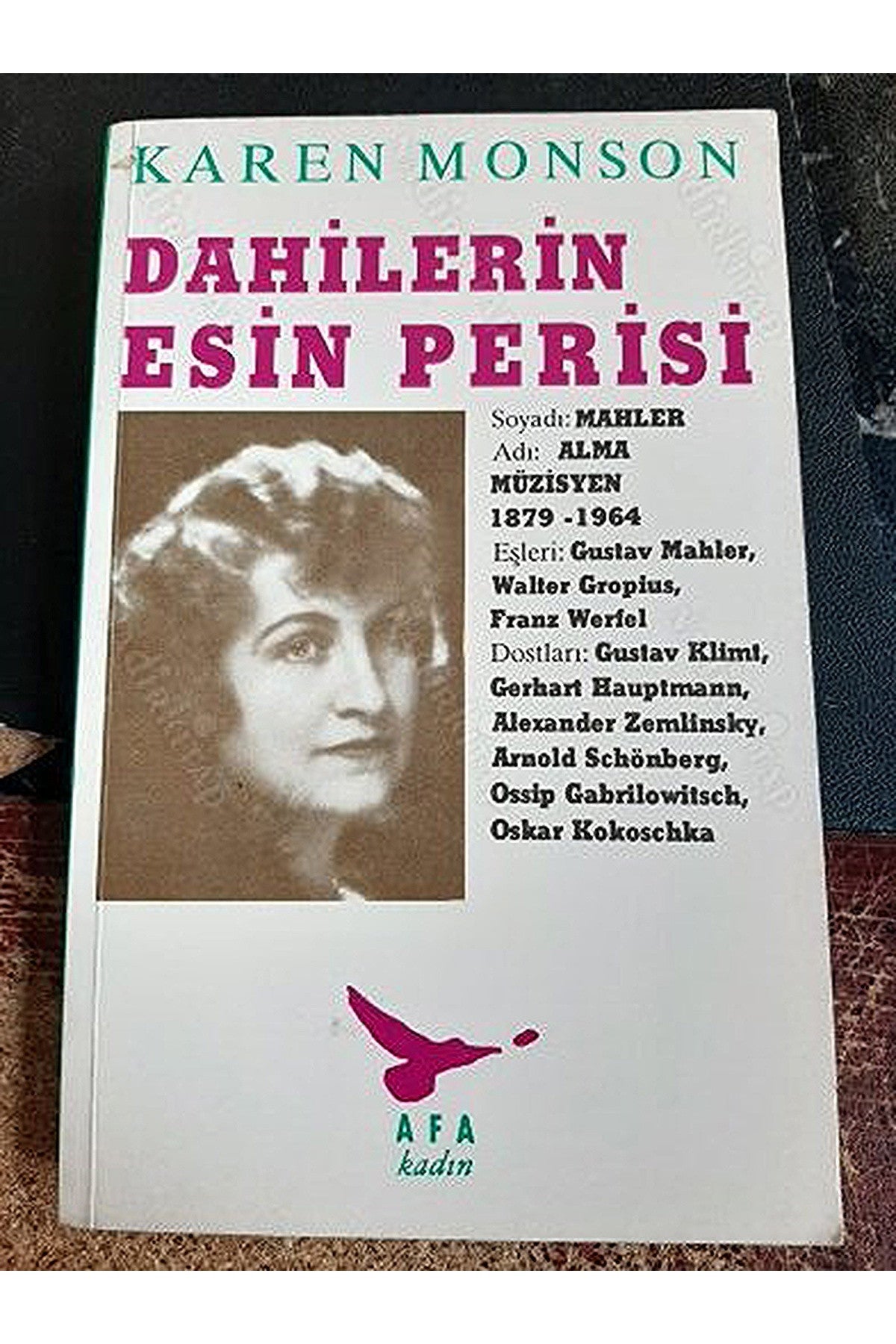 Dahilerin Esin Perisi-Karen Monson kitap kapağı