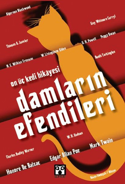 Damların Efendileri On Üç Kedi Hikayesi - Kolektif kitap kapağı