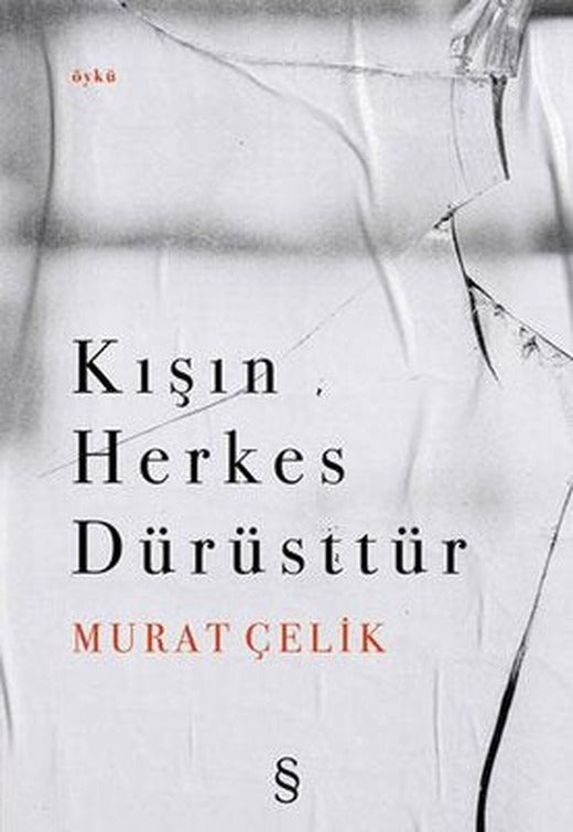 Kışın Herkes Dürüsttür | Everest Yayınları