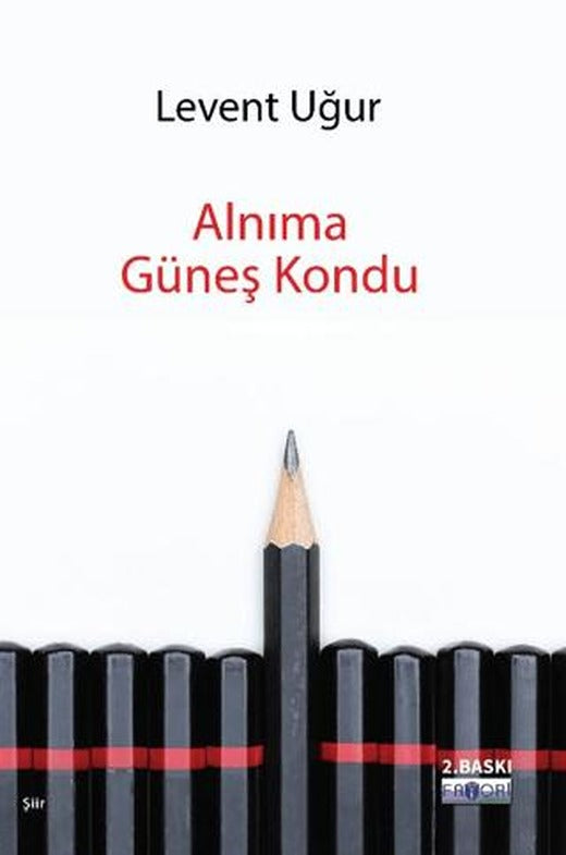 Alnıma Güneş Kondu