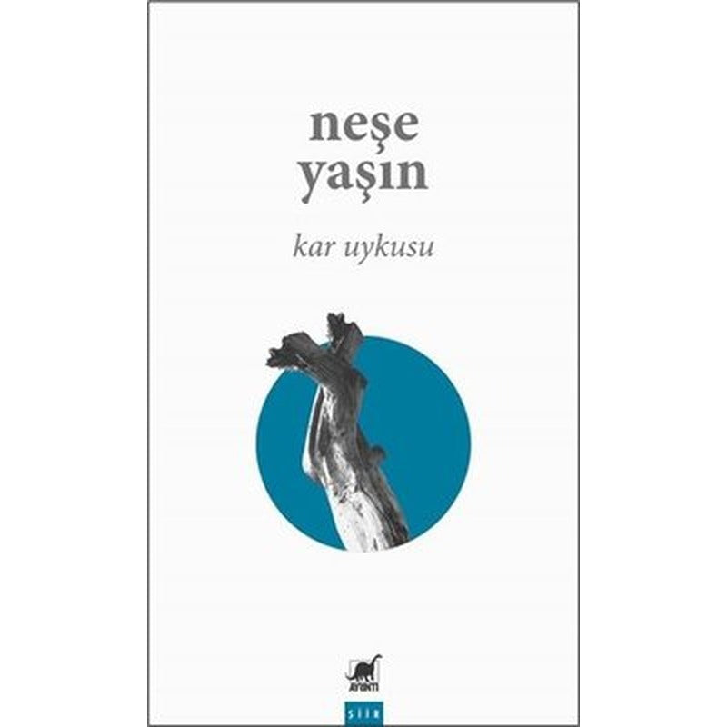 Kar Uykusu | Ayrıntı Yayınları