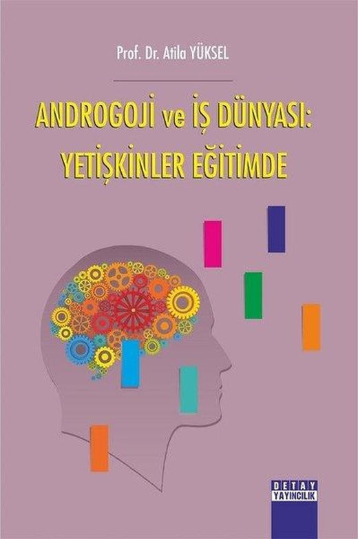 Androgoji ve İş Dünyası: Yetişkinler Eğitimde | Detay Yayıncılık (İnce Kapak)