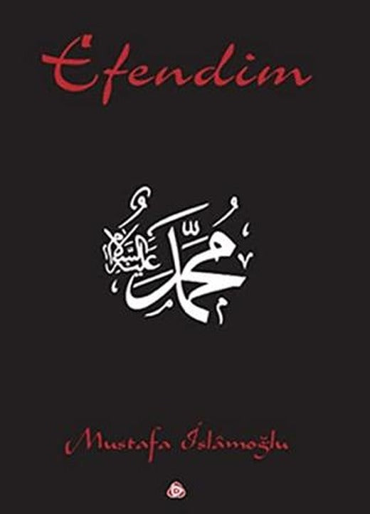 Efendim | Düşün Yayıncılık (Ciltsiz)