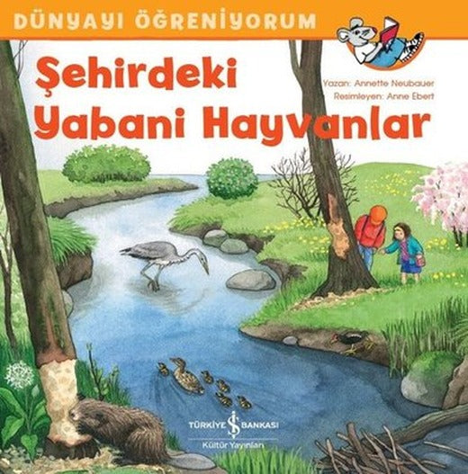 Şehirdeki Yabani Hayvanlar-Dünyayı Öğreniyorum | İş Bankası Kültür Yayınları