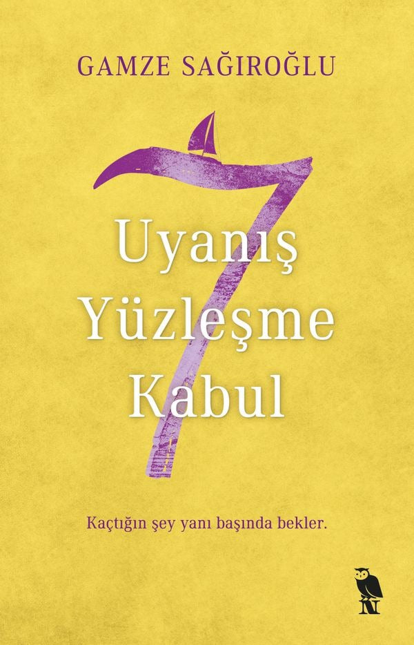 7 Uyanış Yüzleşme Kabul | Nemesis Kitap