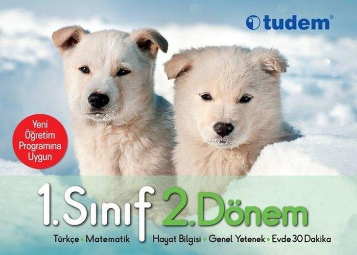 1.Sınıf 2.Dönem Evde 30 Dakika Set-Yeni Öğretim Programına Uygun | Tudem Yayınları - Ders Kitapları (İnce Kapak)