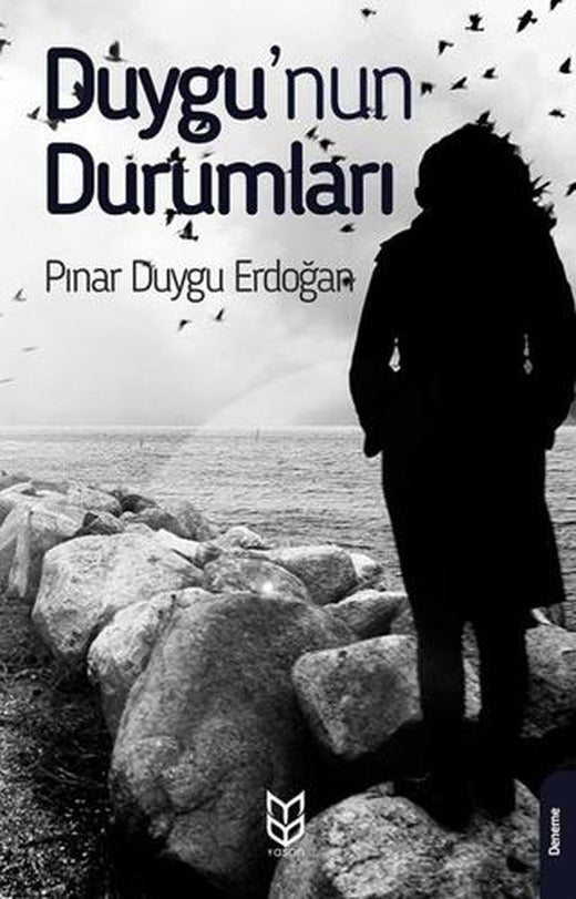 Duygu'nun Durumları | Yason Yayıncılık (Ciltsiz)