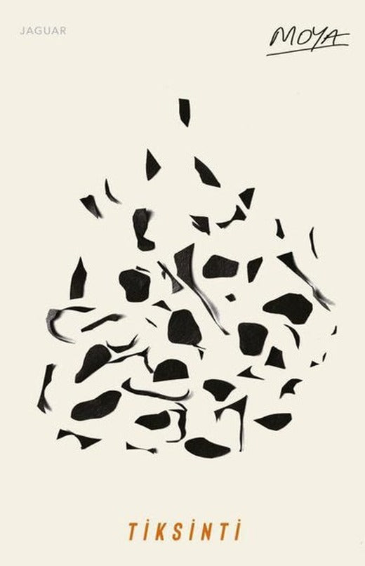 Gemi Arslanı | Kafka Kitap