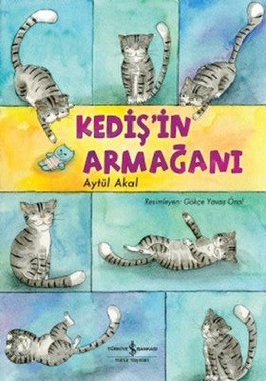 Kediş'in Armağanı | İş Bankası Kültür Yayınları