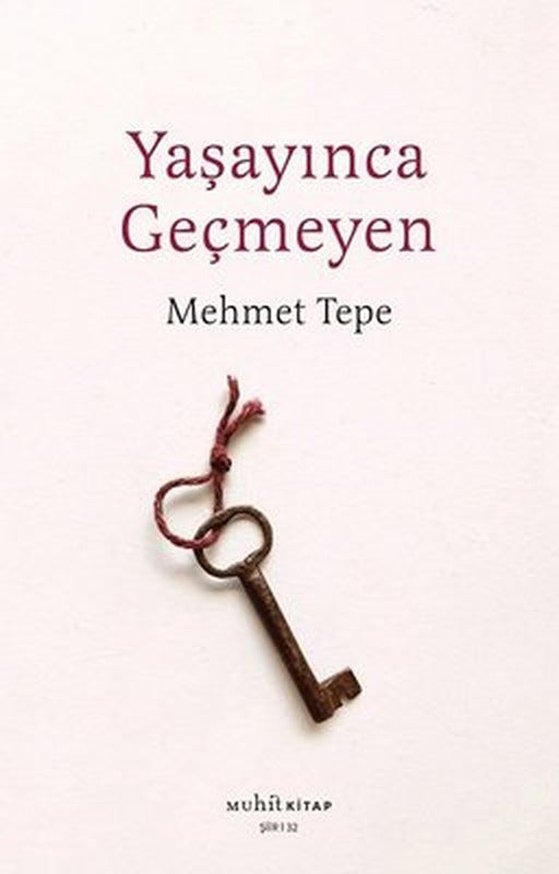 Yaşayınca Geçmeyen | Muhit Kitap