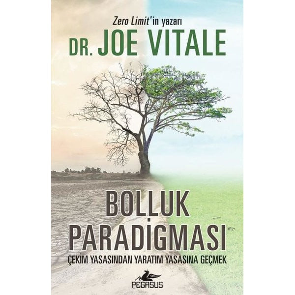 Bolluk Paradigması: Çekim Yasasından Yaratım Yasasına Geçmek