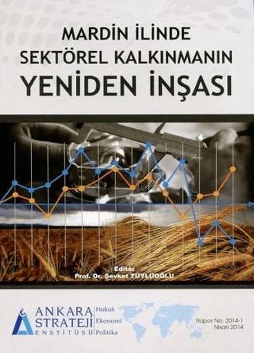 Mardin İlinde Sektörel Kalkınmanın Yeniden İnşası | İmaj Yayıncılık (Ciltsiz)