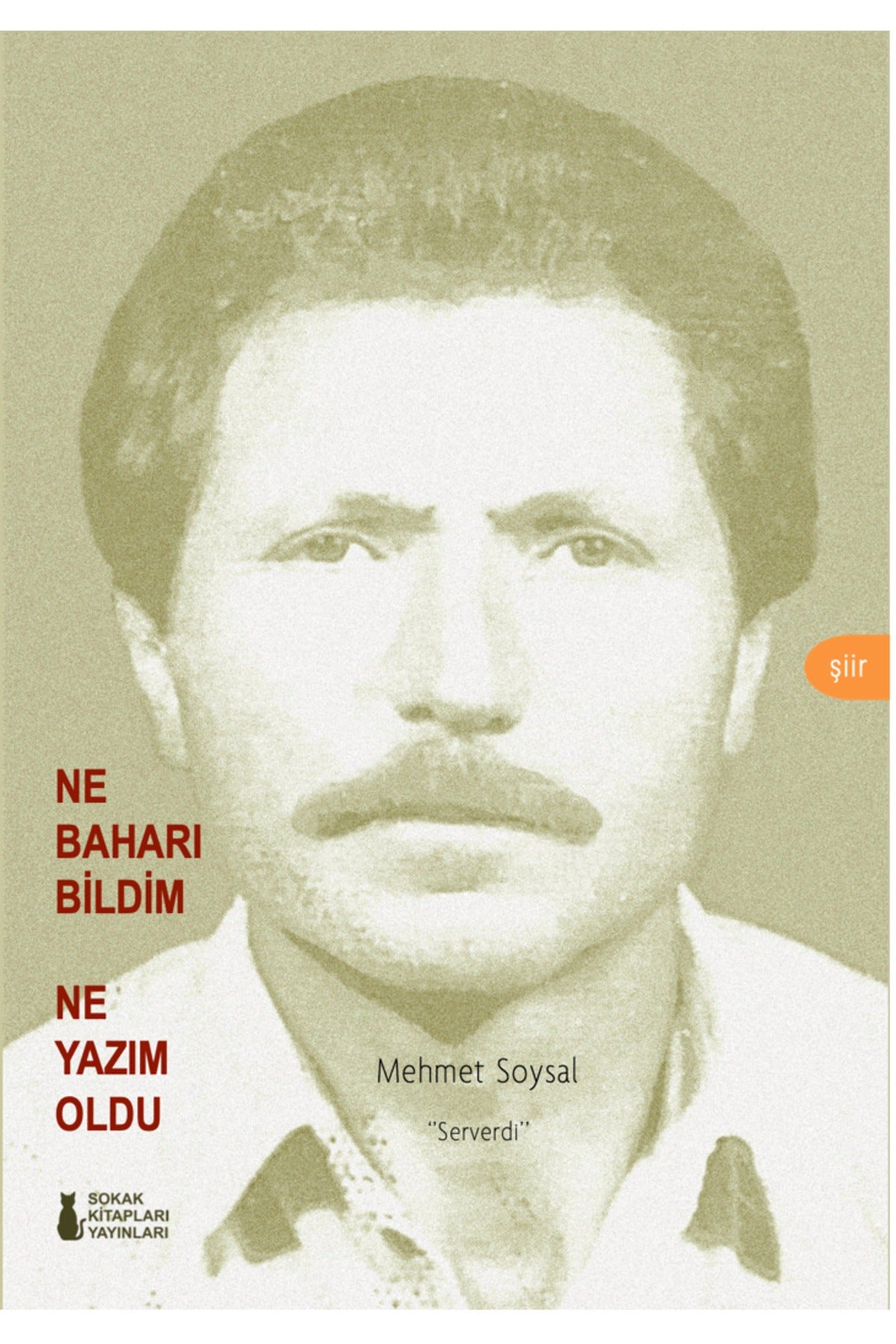 Ne Baharı Bildim Ne Yazım Oldu | Sokak Kitapları Yayınları (İnce Kapak)