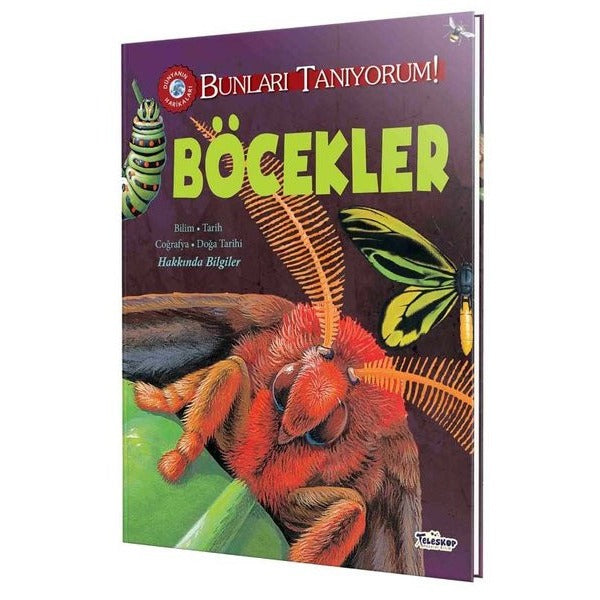Böcekler - Bunları Tanıyorum!
