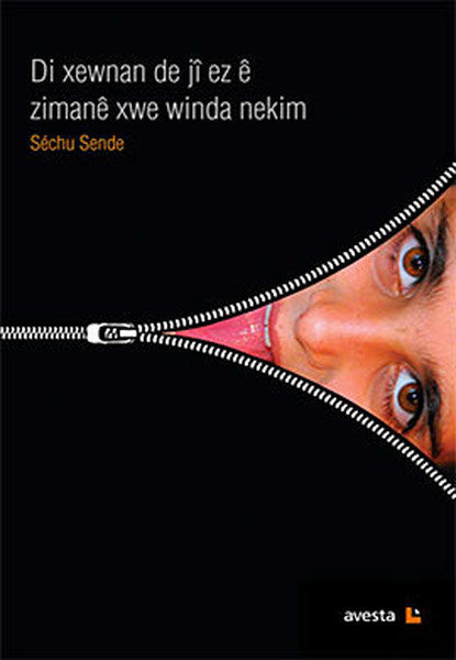 Di Xewnan de ji e Zimane Xwe Winda Nekim - Sechu Sende kitap kapağı