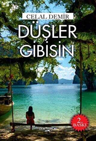 Düşler Gibisin - Celal Demir kitap kapağı