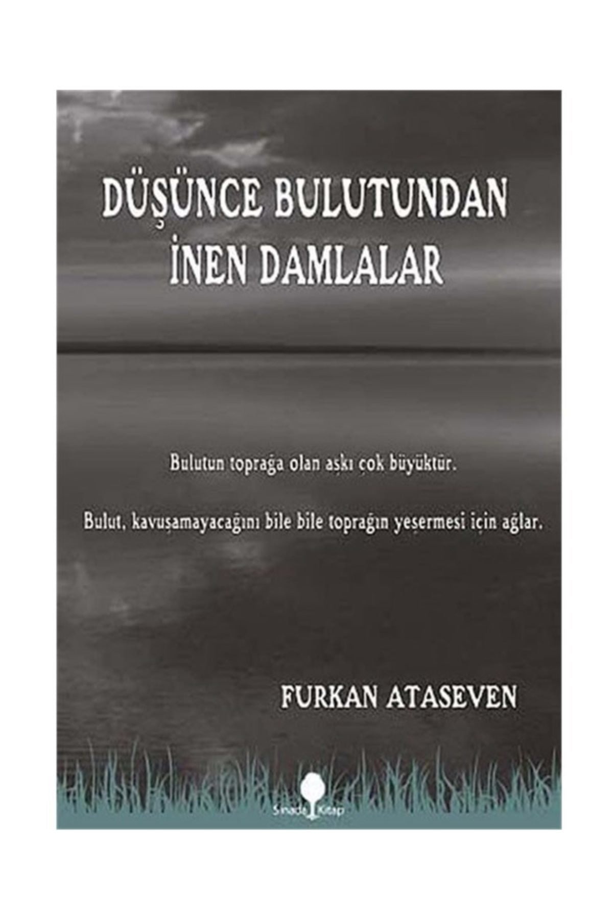 Düşünce Bulutundan İnen Damlalar - Furkan Ataseven kitap kapağı