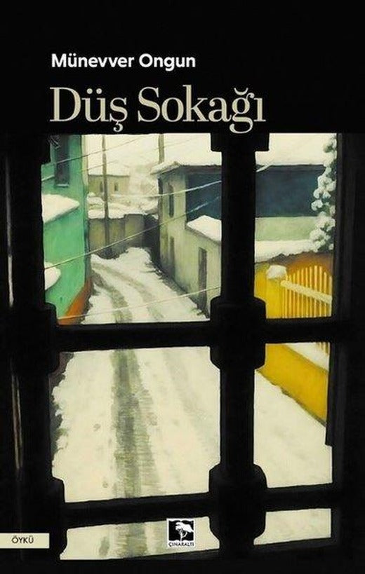 Düş Sokağı | Çınaraltı Yayınları (İnce Kapak)