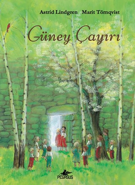 Güney Çayırı | Pegasus (Ciltli)