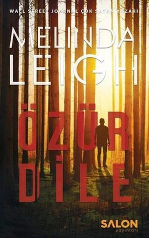 Özür Dile-Morgan Dane Serisi 1.Kitap | Salon Yayınları